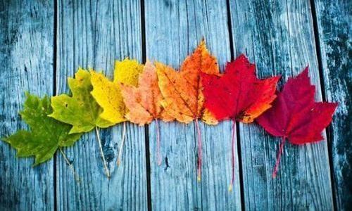 ESCOLHA E COMBINAÇÕES DE CORES DE ACORDO COM AS ESTAÇÕES DO ANO ESCOLHA E COMBINAÇÕES DE CORES DE ACORDO COM AS ESTAÇÕES DO ANO